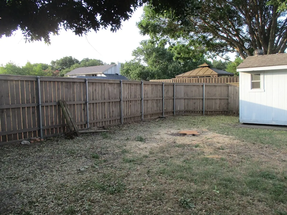 Cleared yard after professional tree removal in Branchville